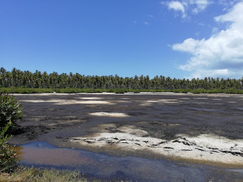 Golbaşı gayrimenkul danışmanı villa alım